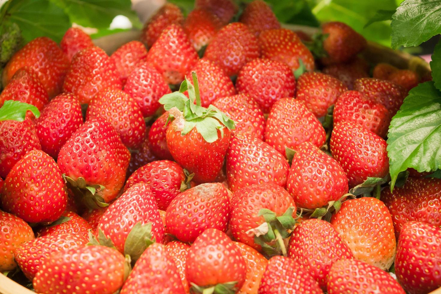 Bund Erdbeeren foto