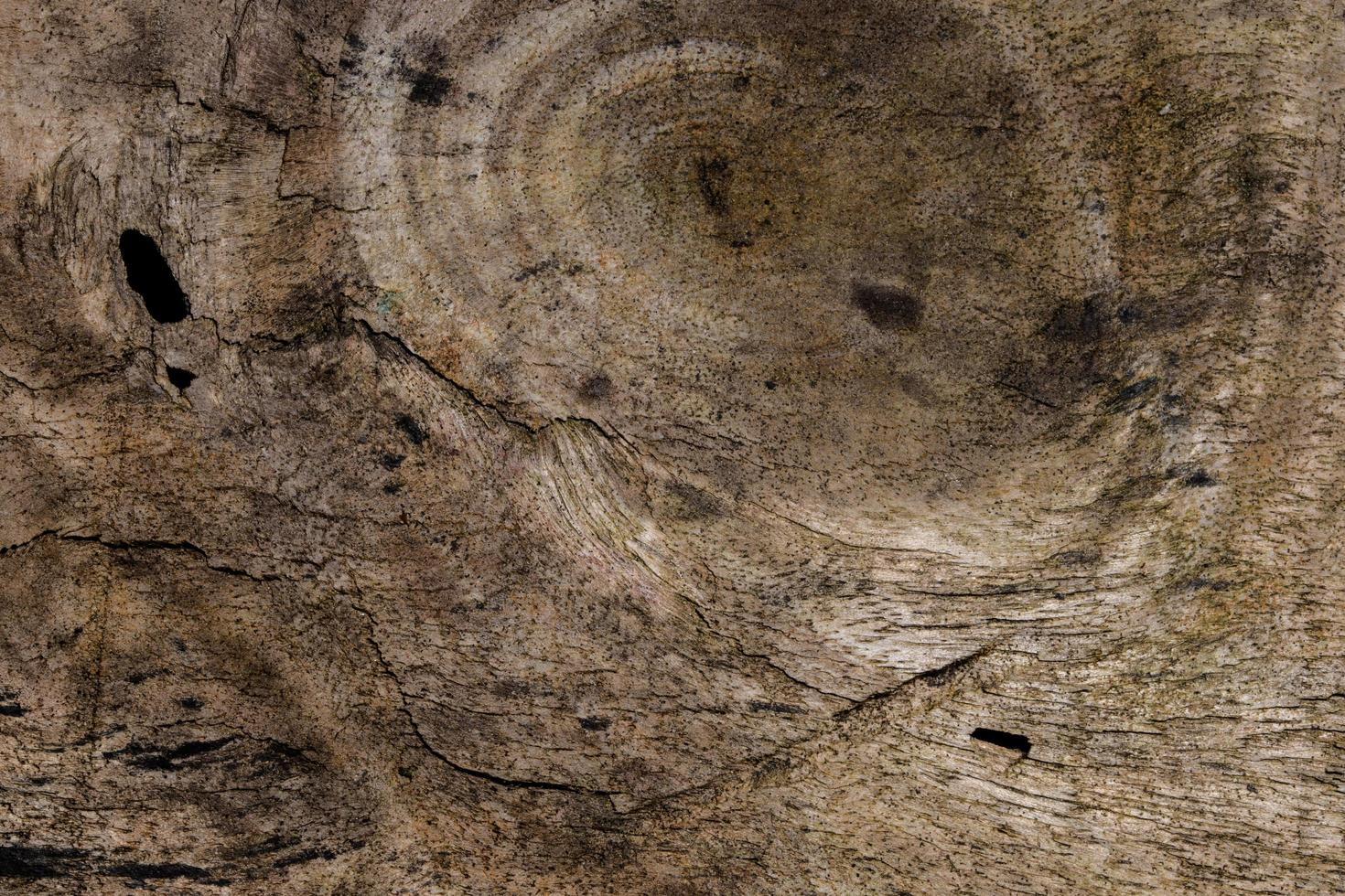 Holz Textur Hintergrund foto