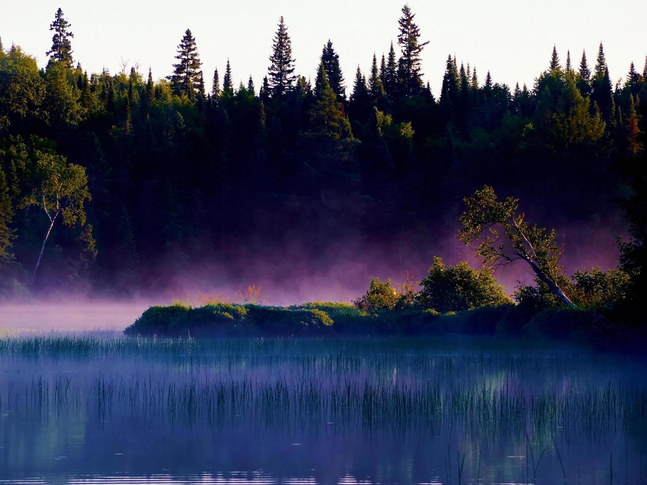 Nebel auf einem See foto