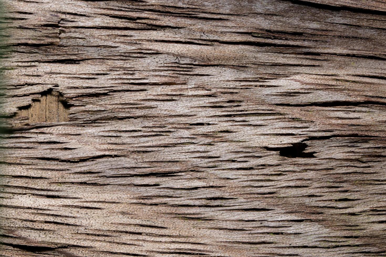 Holz Textur Hintergrund foto