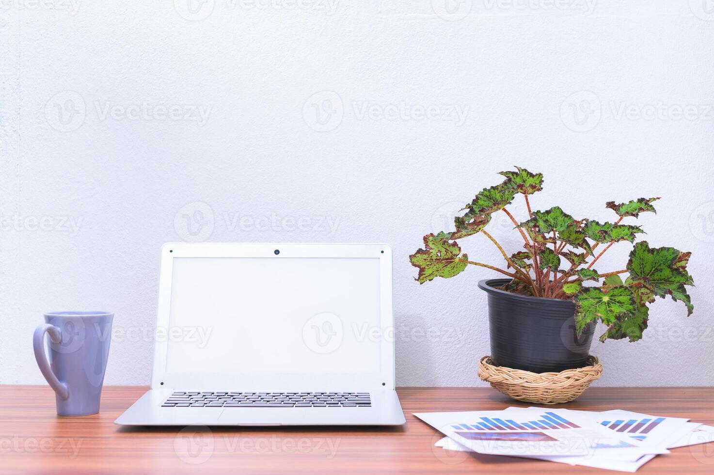 Laptop und Blume auf dem Schreibtisch foto