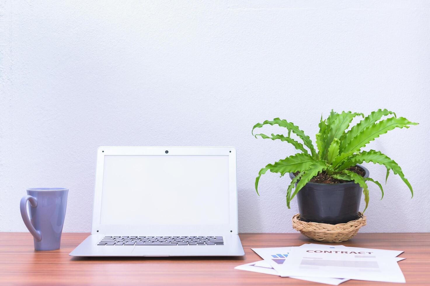 Laptop und Blume auf dem Schreibtisch foto