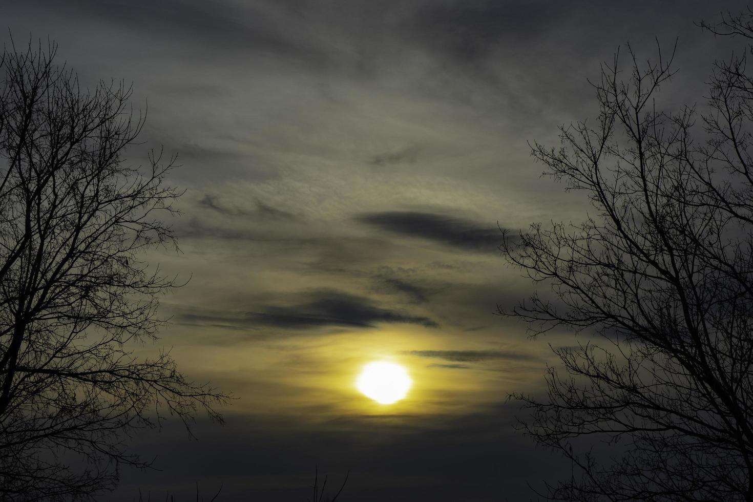 die Sonne in der Watte foto