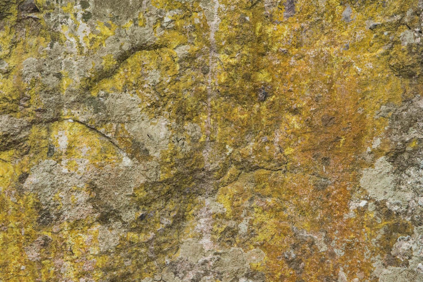 gemusterter Steinhintergrund foto