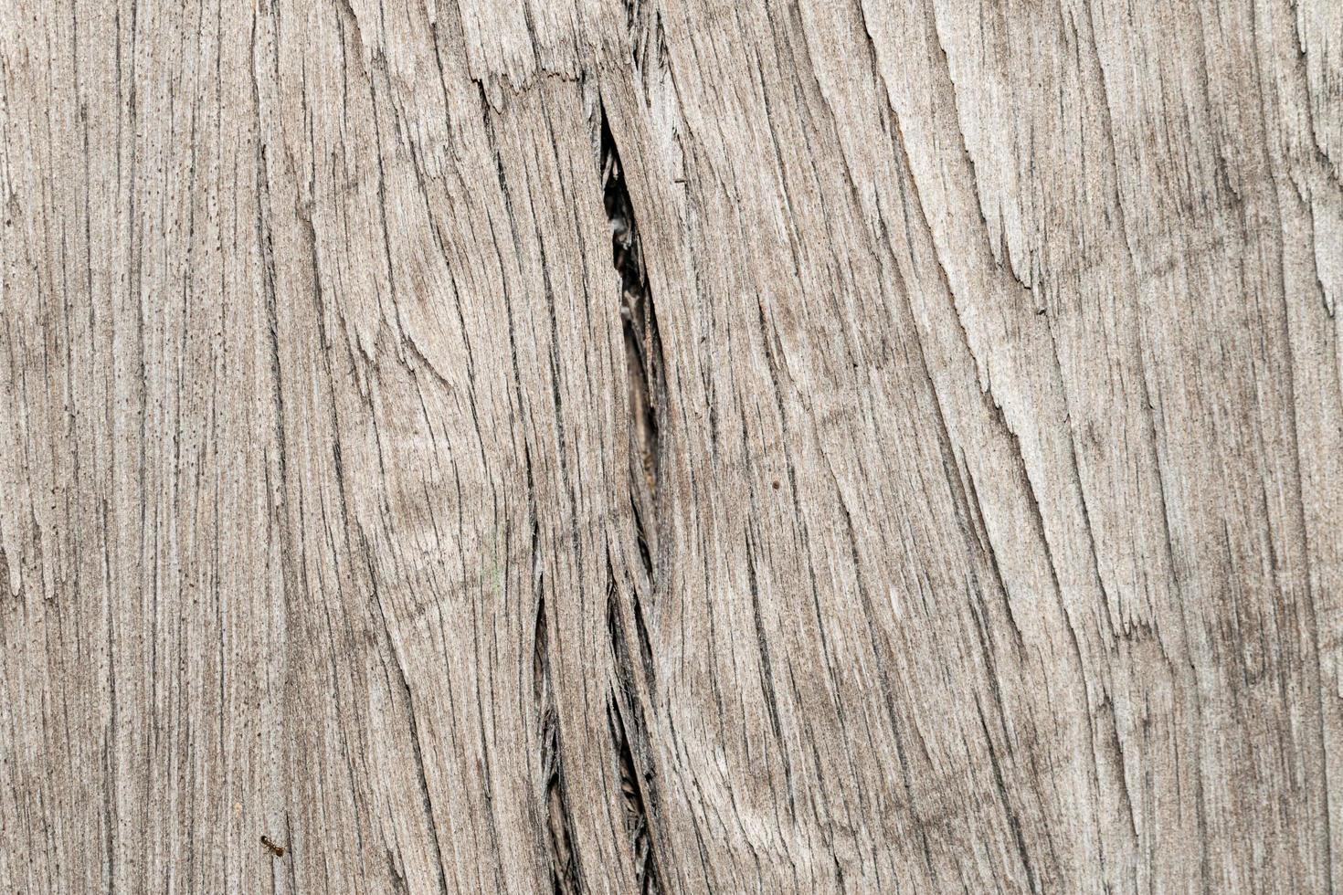 Holz Textur Hintergrund foto