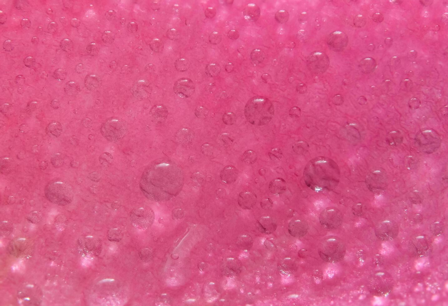 Wassertropfen auf den Blütenblättern einer rosa Rose foto