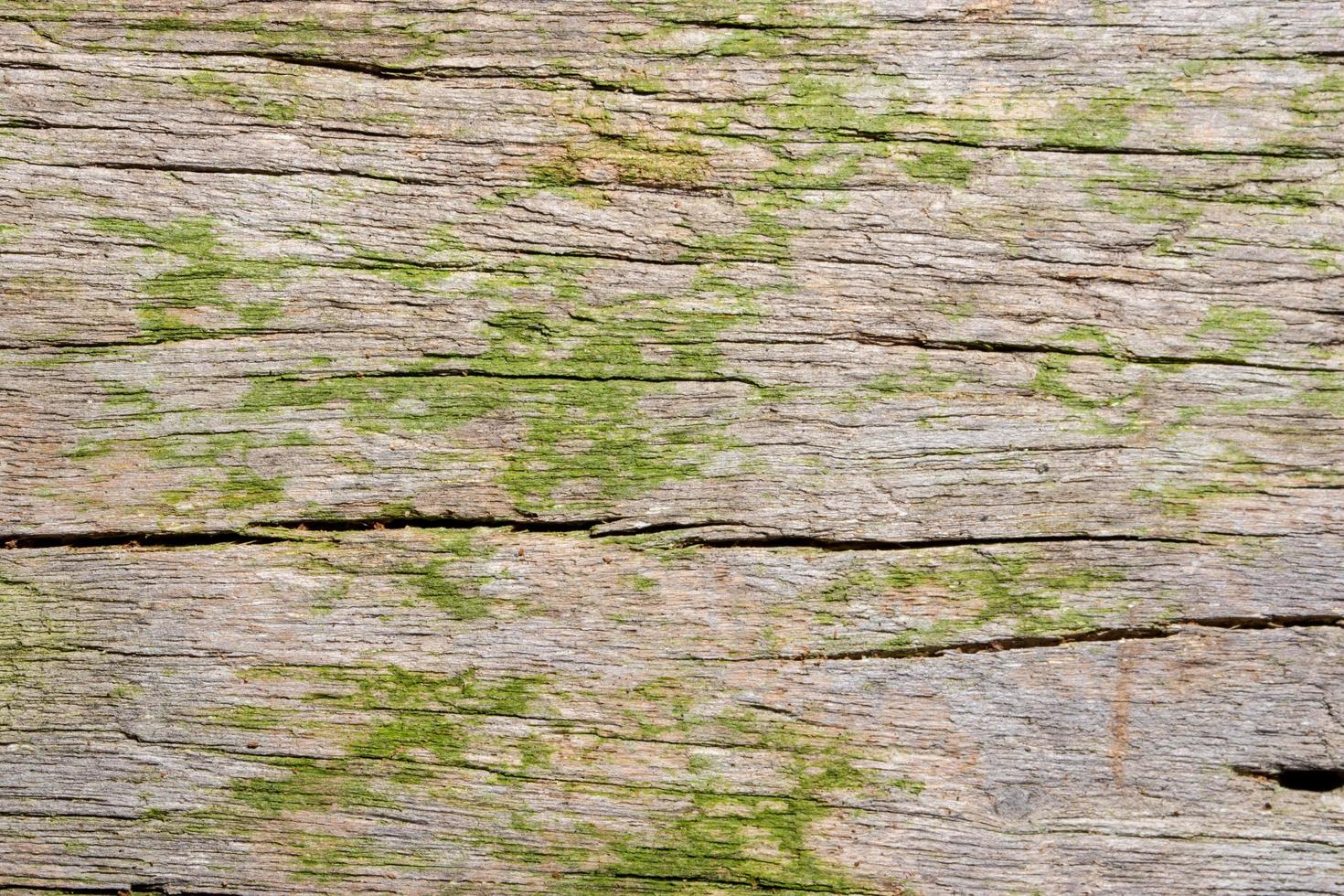 Holz Textur Hintergrund foto