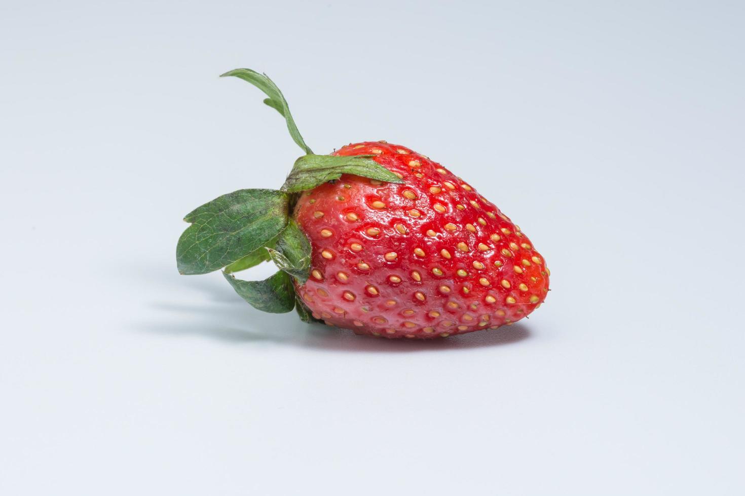 Erdbeere auf weißem Hintergrund foto