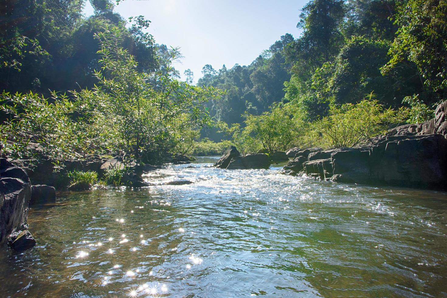 landschaft am heaw narok wasserfall in thailand foto