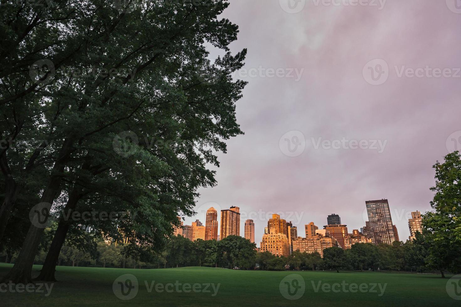 New Yorker Central Park foto