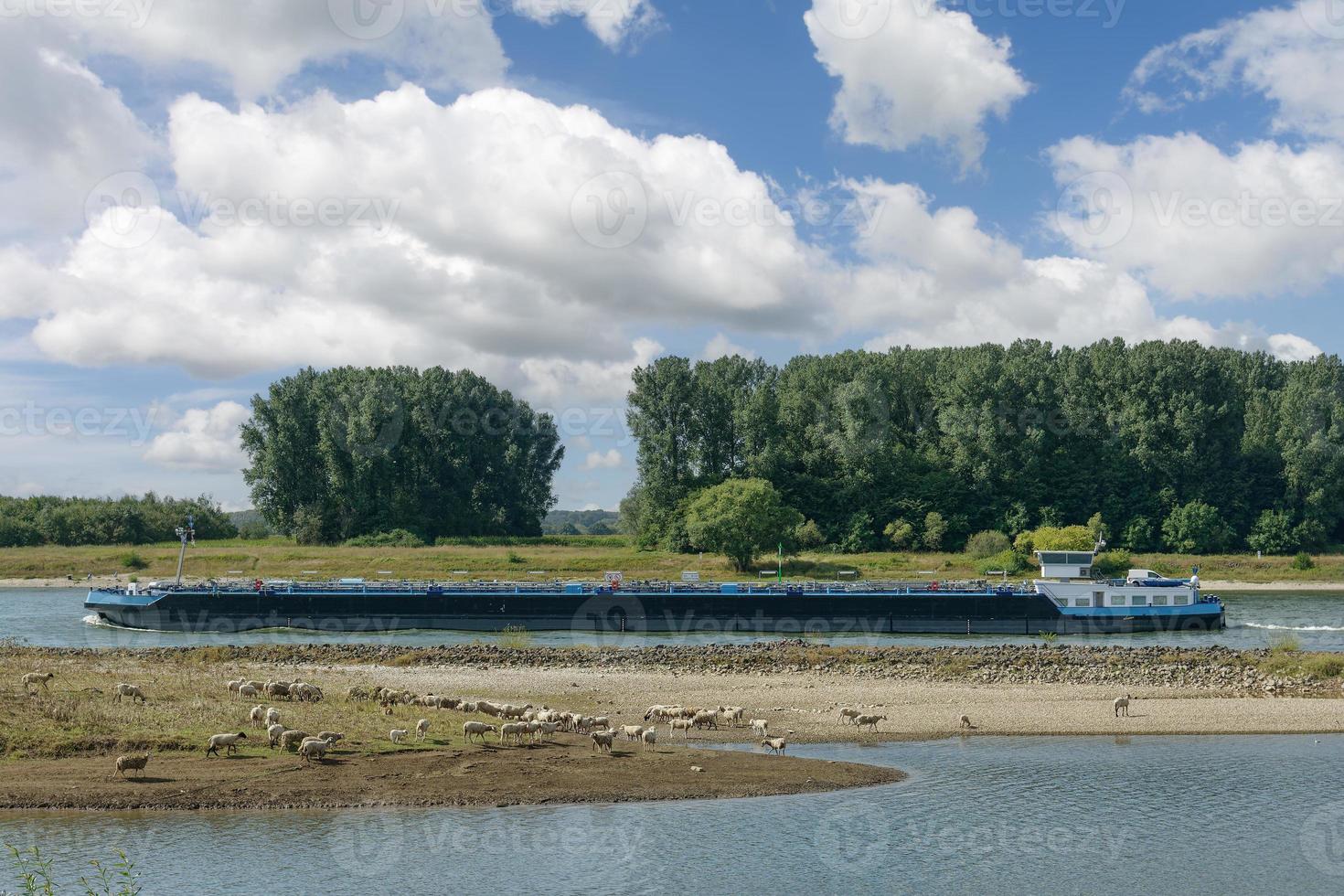 flusstransport am rhein, deutschland foto