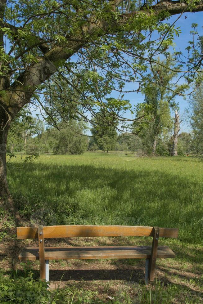 Rastplatz im Naturschutzgebiet Urdenbacher Kaempe, Alte Rheinaue, Düsseldorf-Urdenbach, Deutschland foto