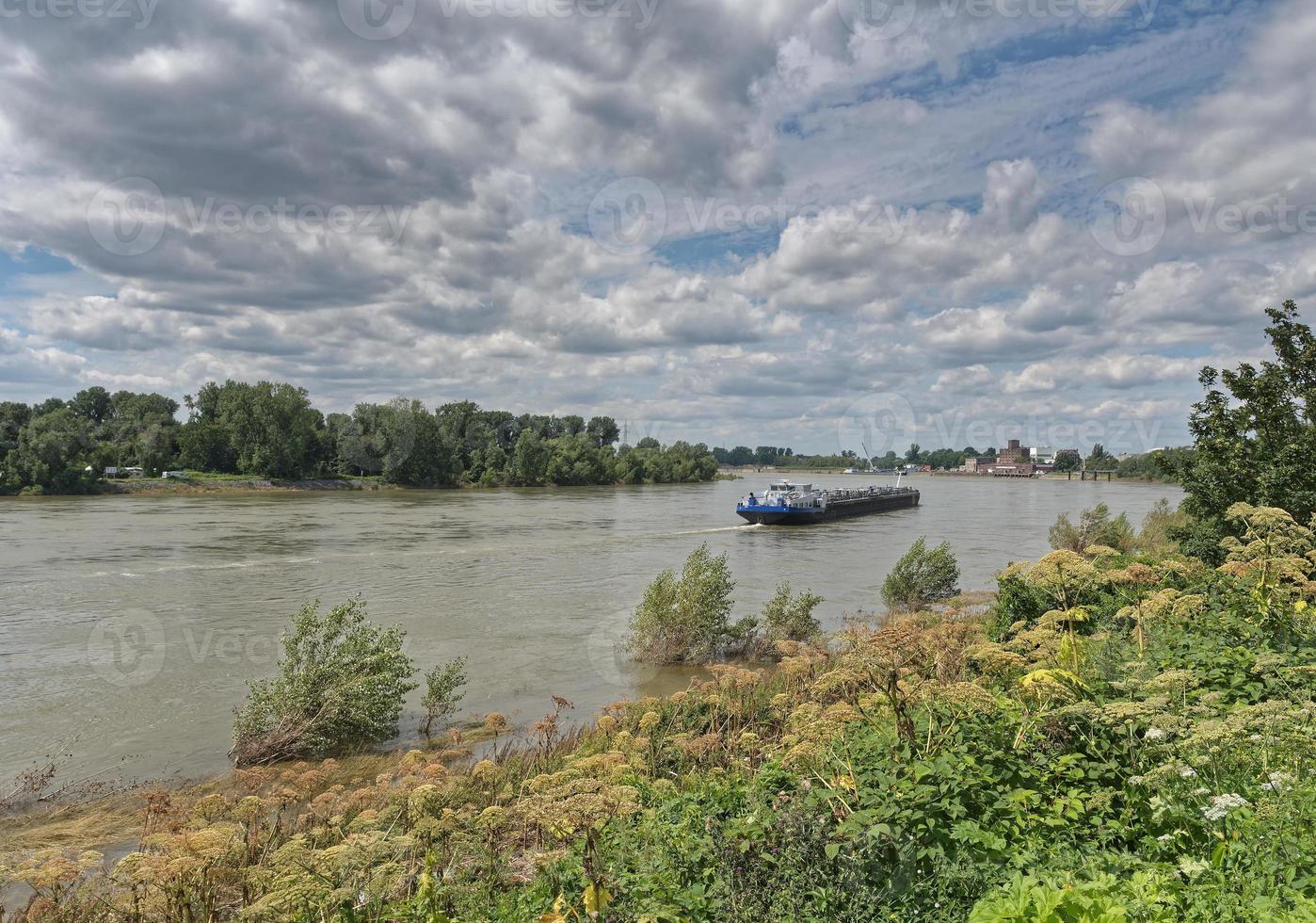 Rhein in Düsseldorf-Benrath, Nordrhein-Westfalen, Deutschland foto