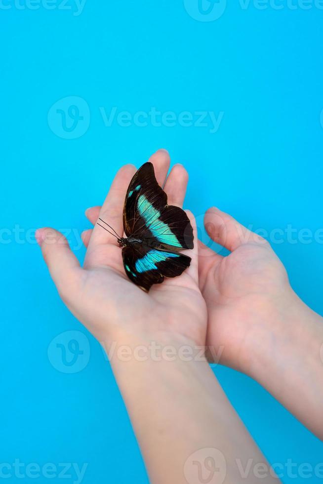 Nahaufnahme eines blauen Schmetterlings auf der Schulter eines jungen Mädchens auf dunklem Hintergrund. das konzept zerbrechlichkeit der natur foto