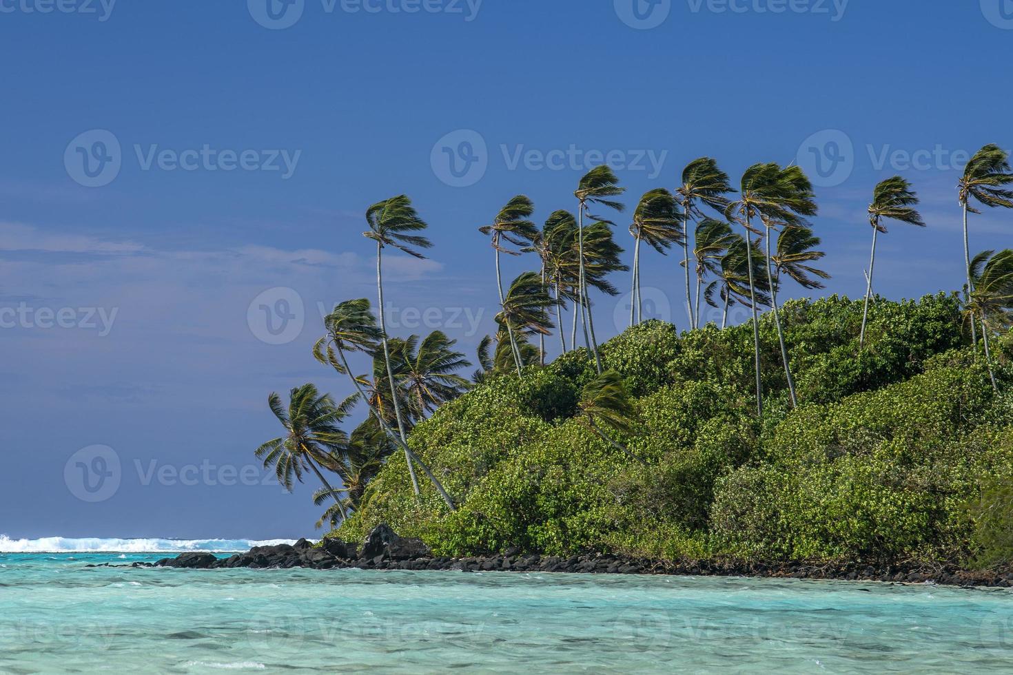 rarotonga cook island polynesien strand sommerparadies lagune foto