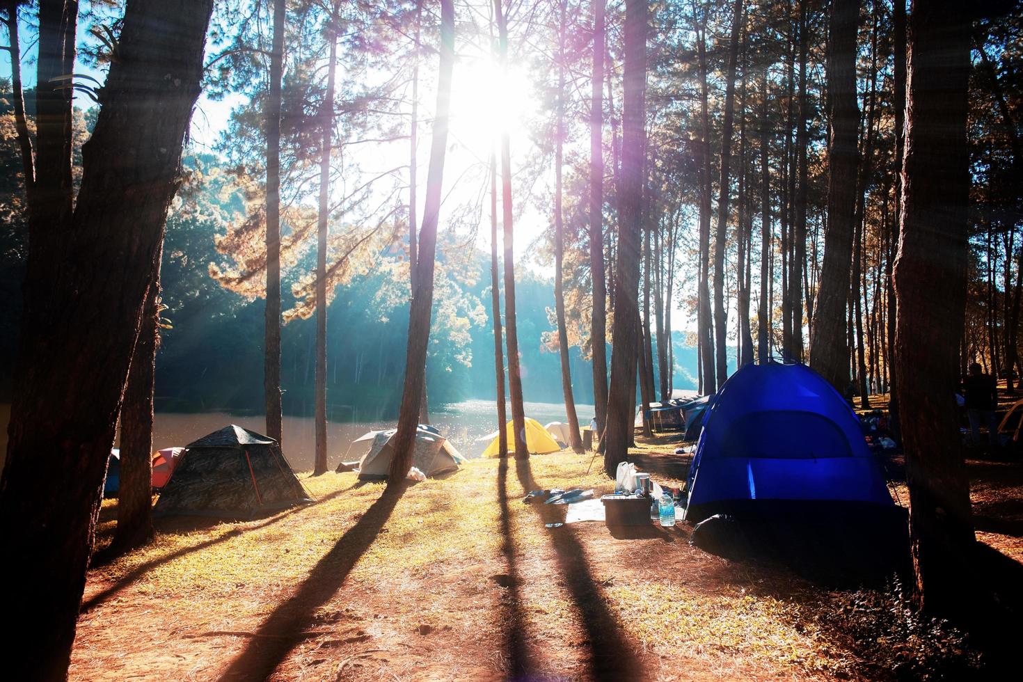 Camping mit dem Sonnenaufgang am Baum. foto