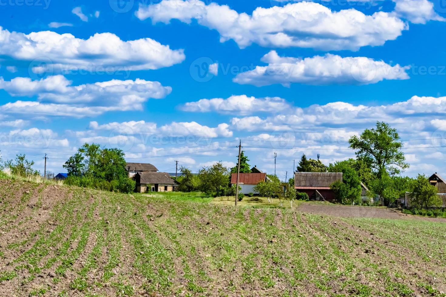 fotografie zum thema großes leeres bauernhoffeld für die organische ernte foto