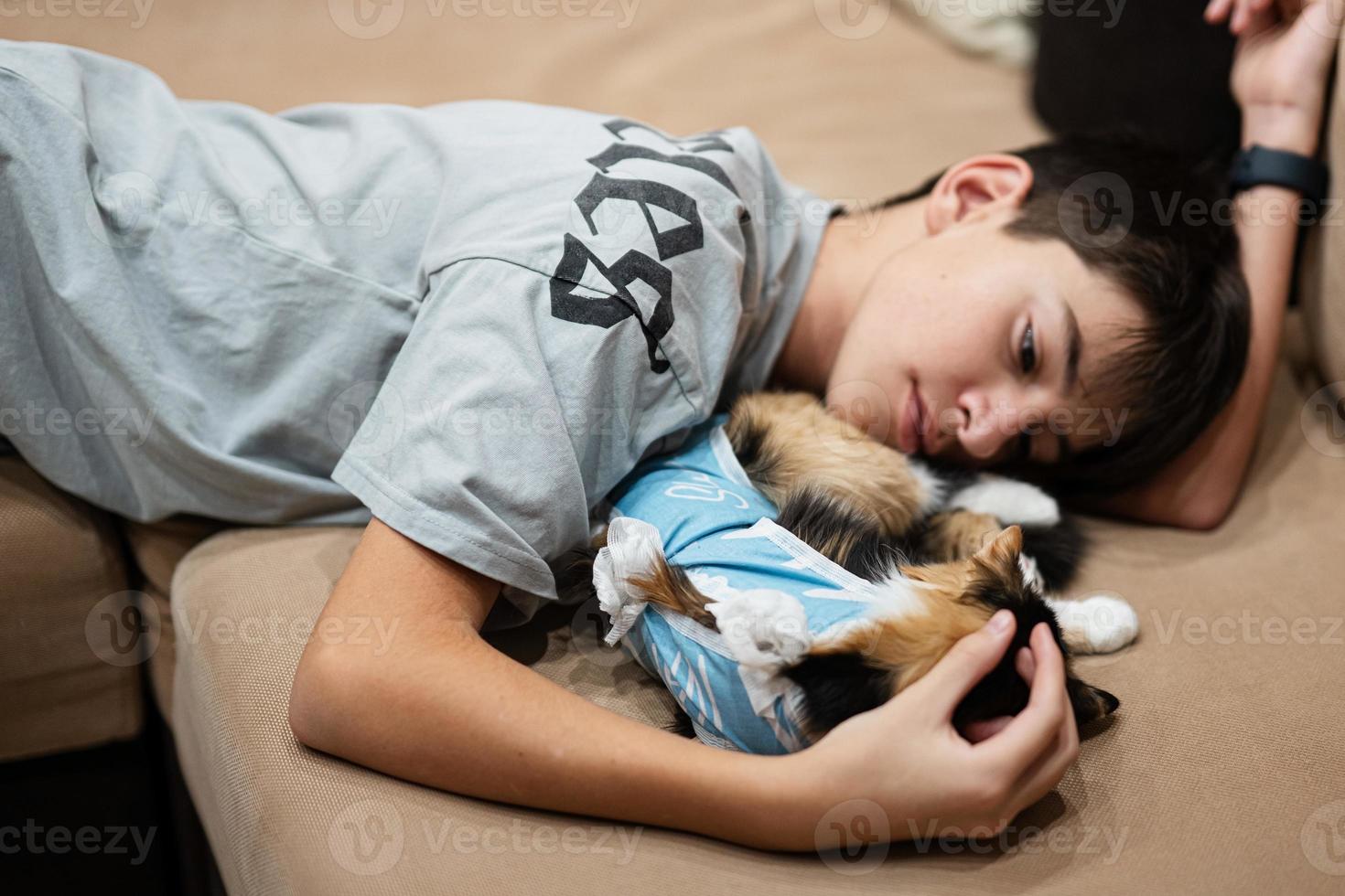 Teenager-Junge mit Schlafkatze in einem Verband nach der Operation. Pflege eines Haustieres nach der Sterilisation der Kavernenoperation. foto