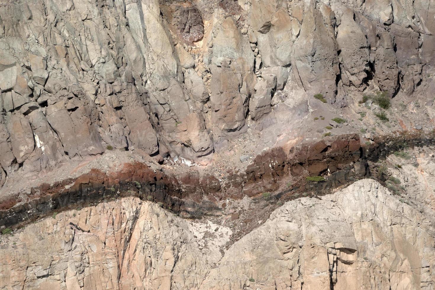 Pelikan, der über Meeresfelsen von Baja California Sur Cortez fliegt foto