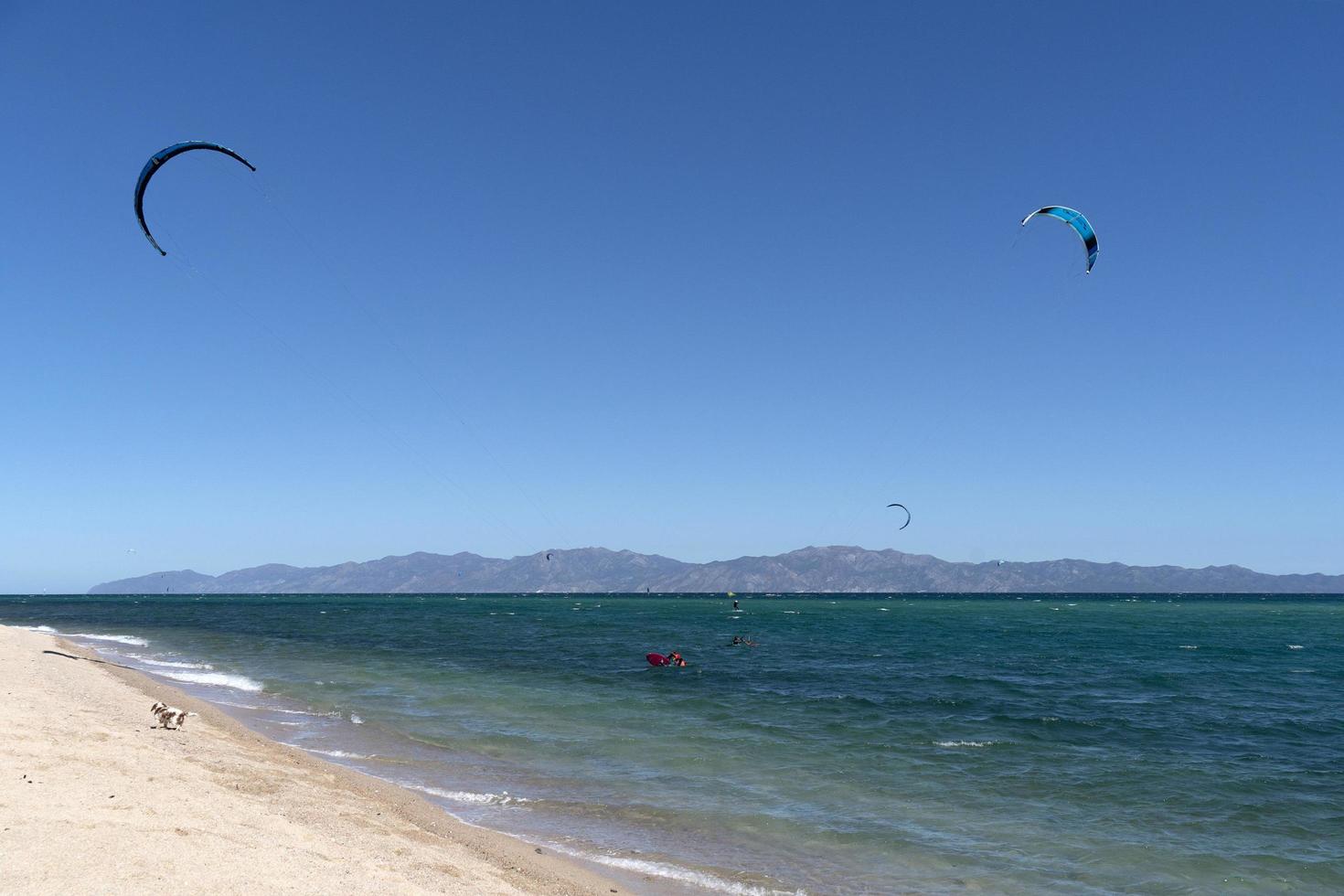 la ventana, mexiko - 16. februar 2020 - kitesurfen auf dem wi foto