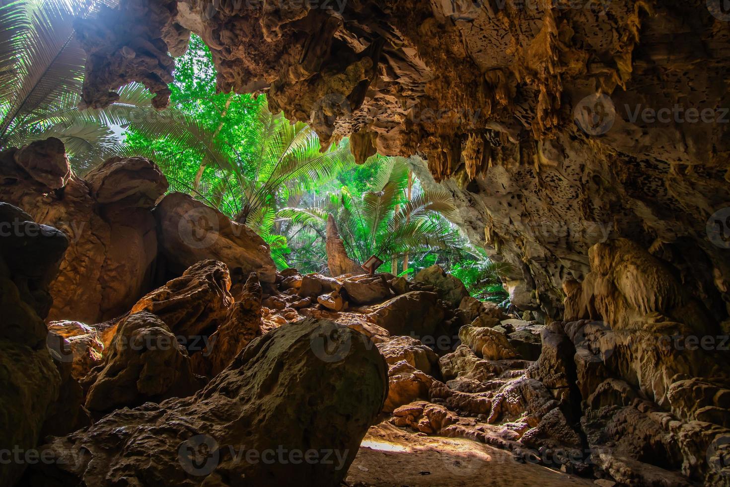 landschaft der höhle und des baums hup pa tat, uthai thani, thailand foto