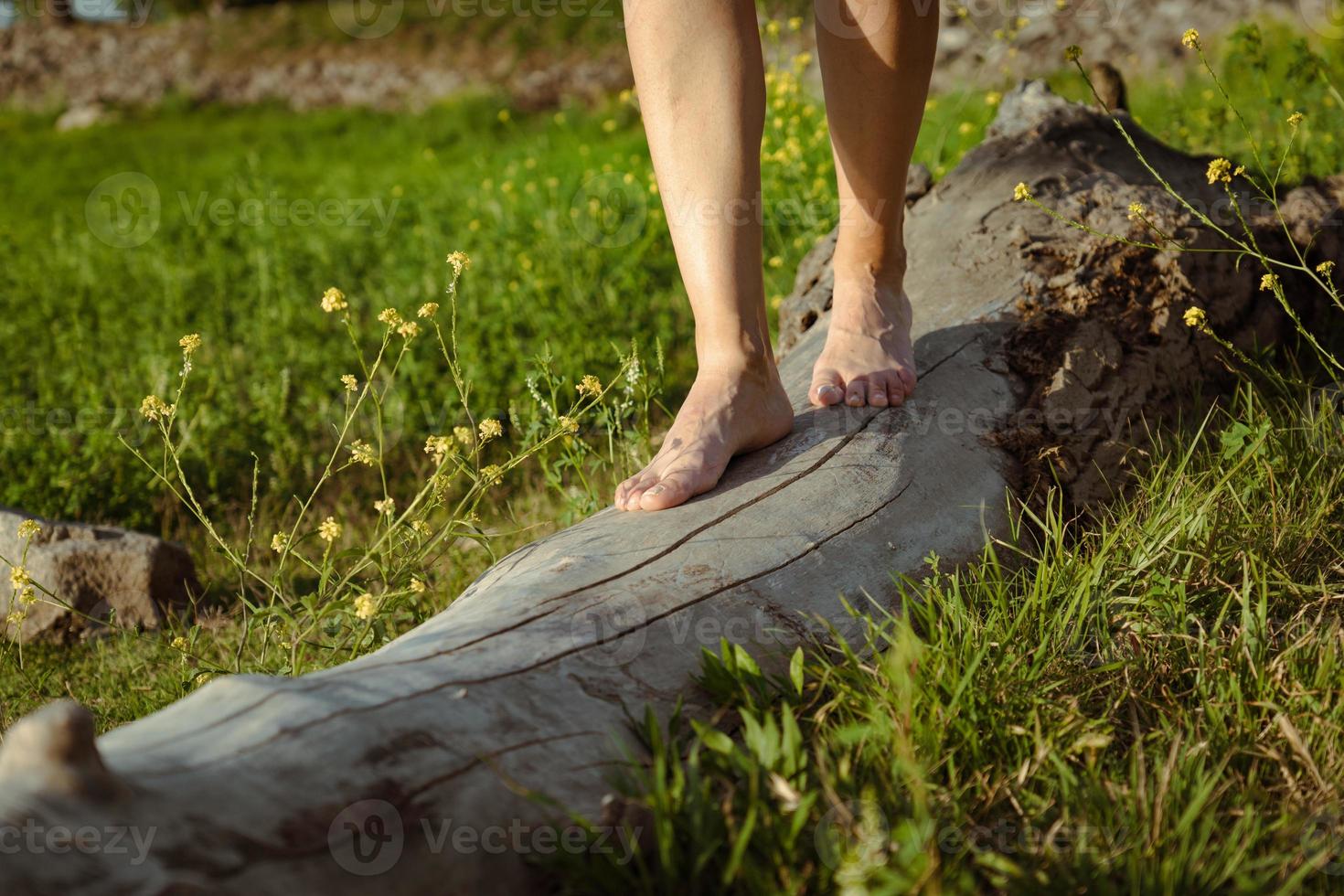 Frauenfüße gehen auf einem Baumstamm foto