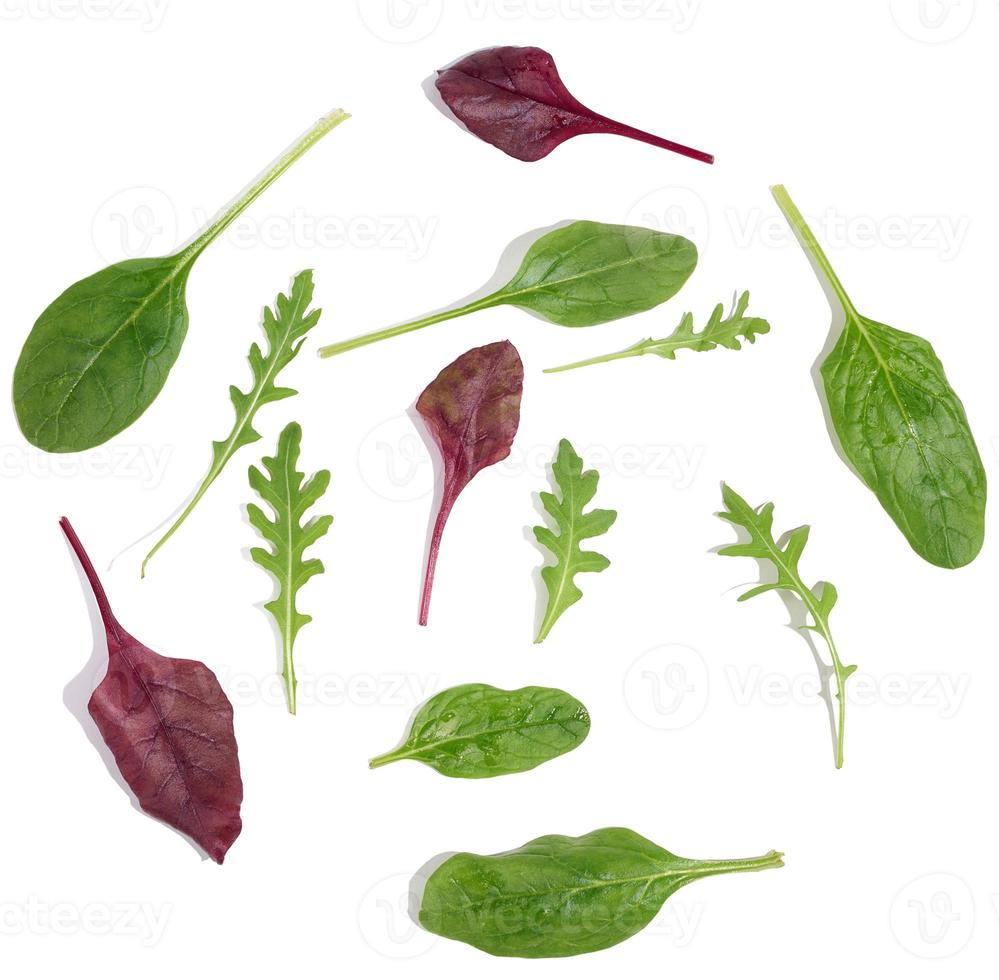 frische grüne Blätter von Rucola, Spinat, Mangold auf einem weißen, isolierten Hintergrund. Salatmischung foto