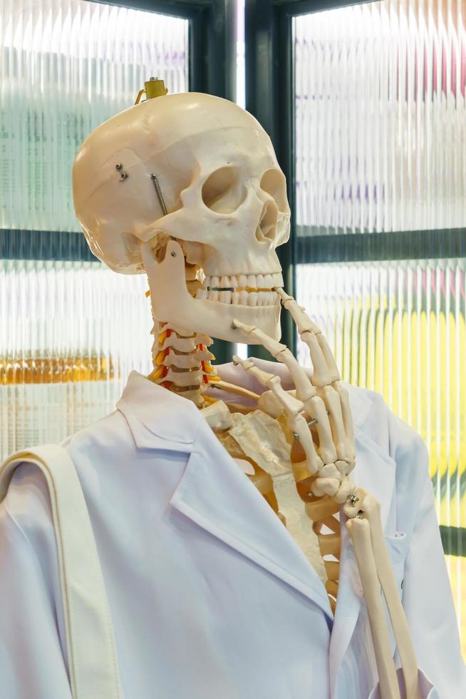 Skelett oder Schädelkopf tragen weißen wissenschaftlichen Laborkittel. Unterrichtsmaterial foto