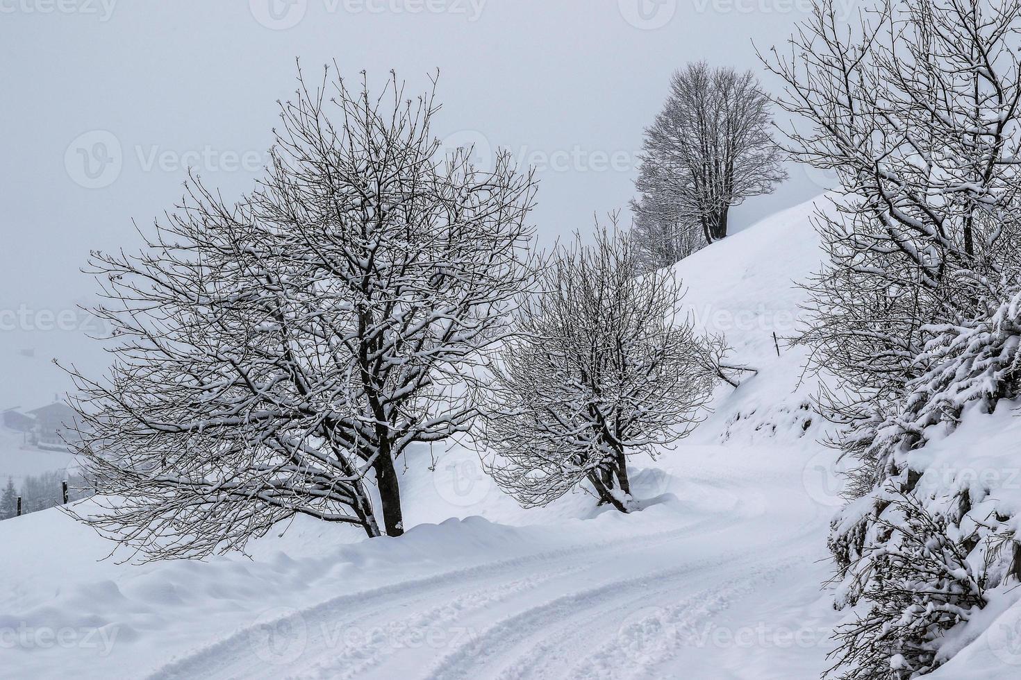 Winterlandschaft in den österreichischen Alpen foto