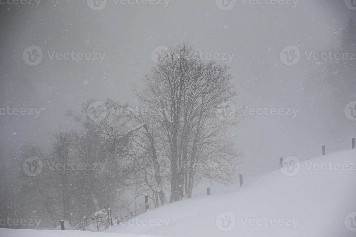 Winterlandschaft in den österreichischen Alpen foto