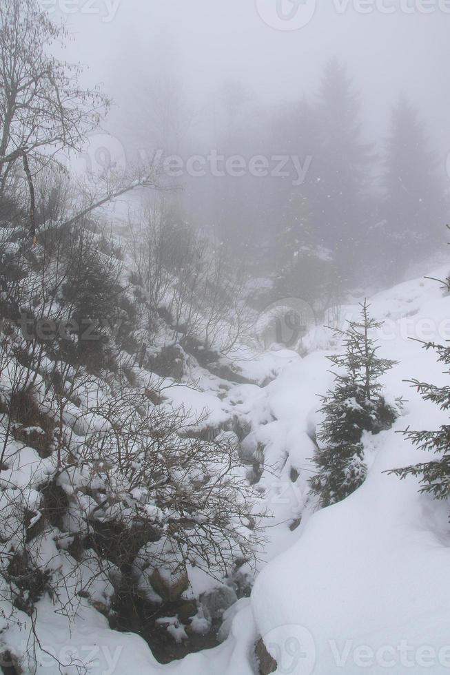 Winterlandschaft in den österreichischen Alpen foto