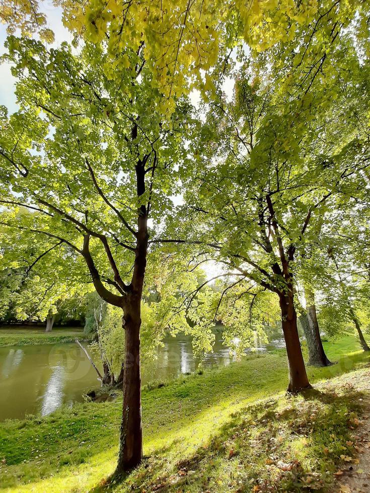 spazieren an einem schönen Frühlingstag im Park foto