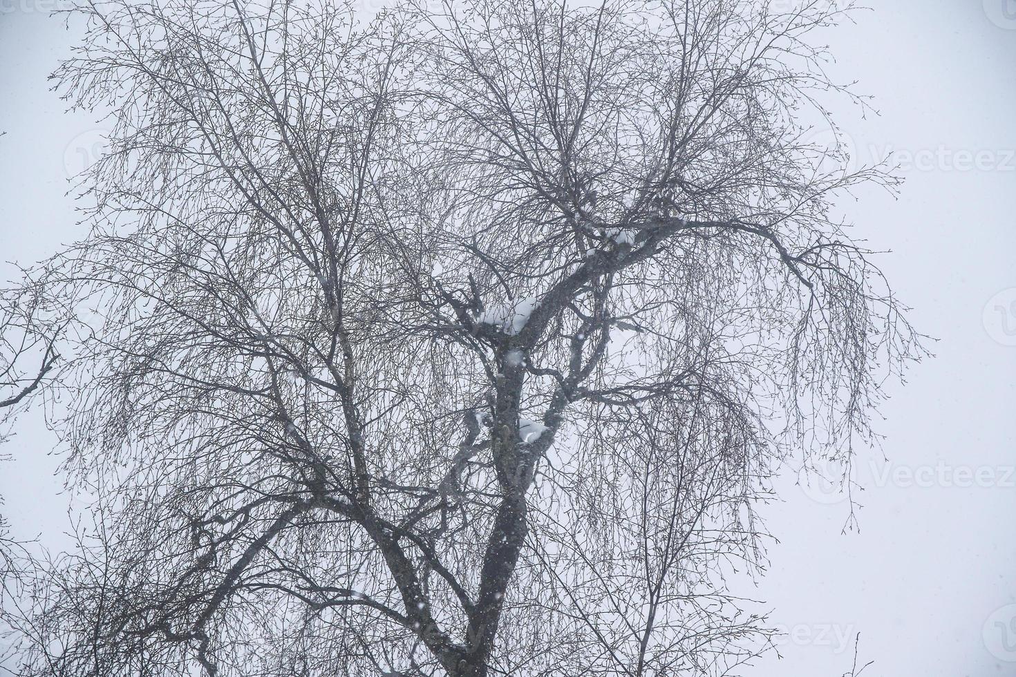 Winterlandschaft in den österreichischen Alpen foto