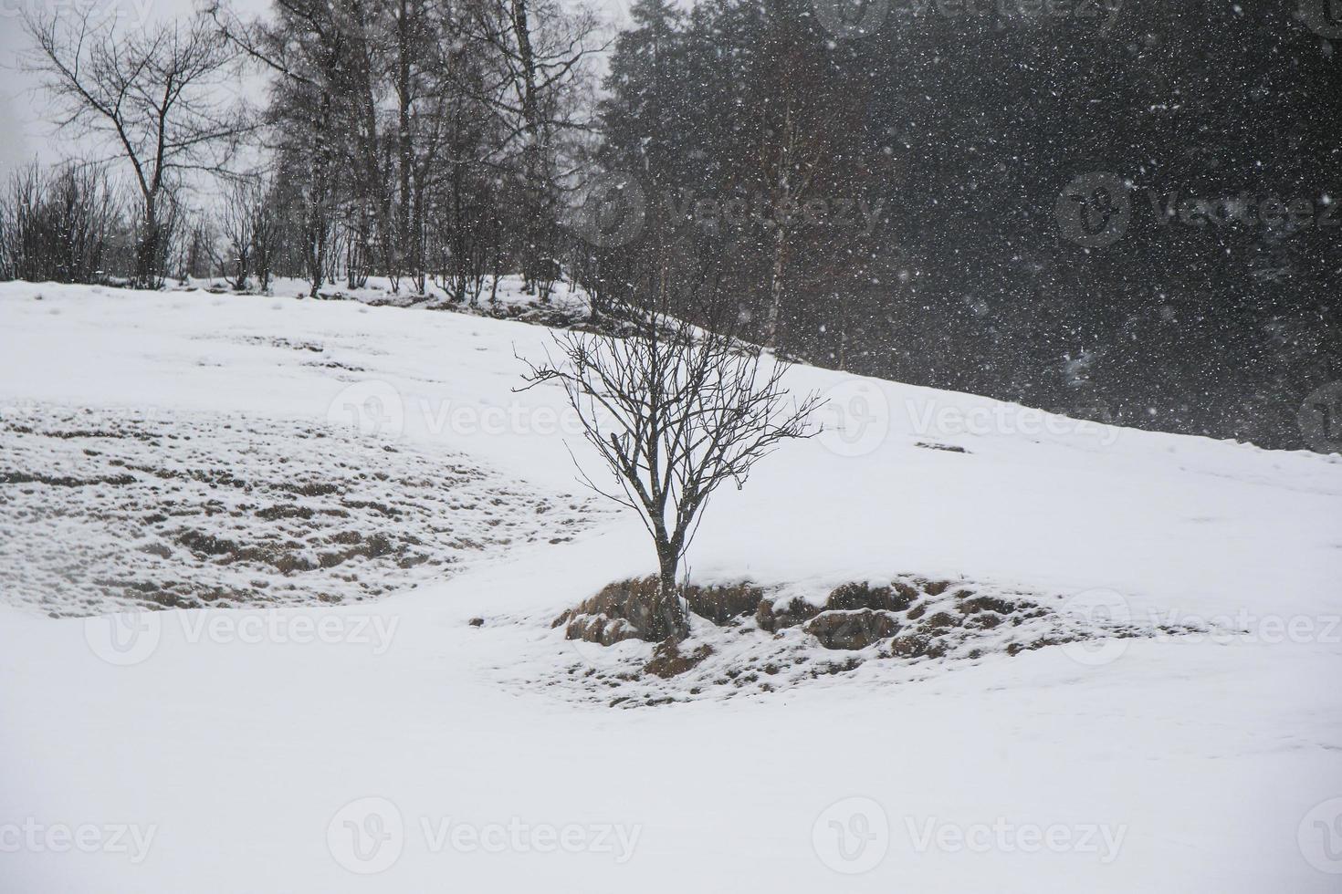 Winterlandschaft in den österreichischen Alpen foto