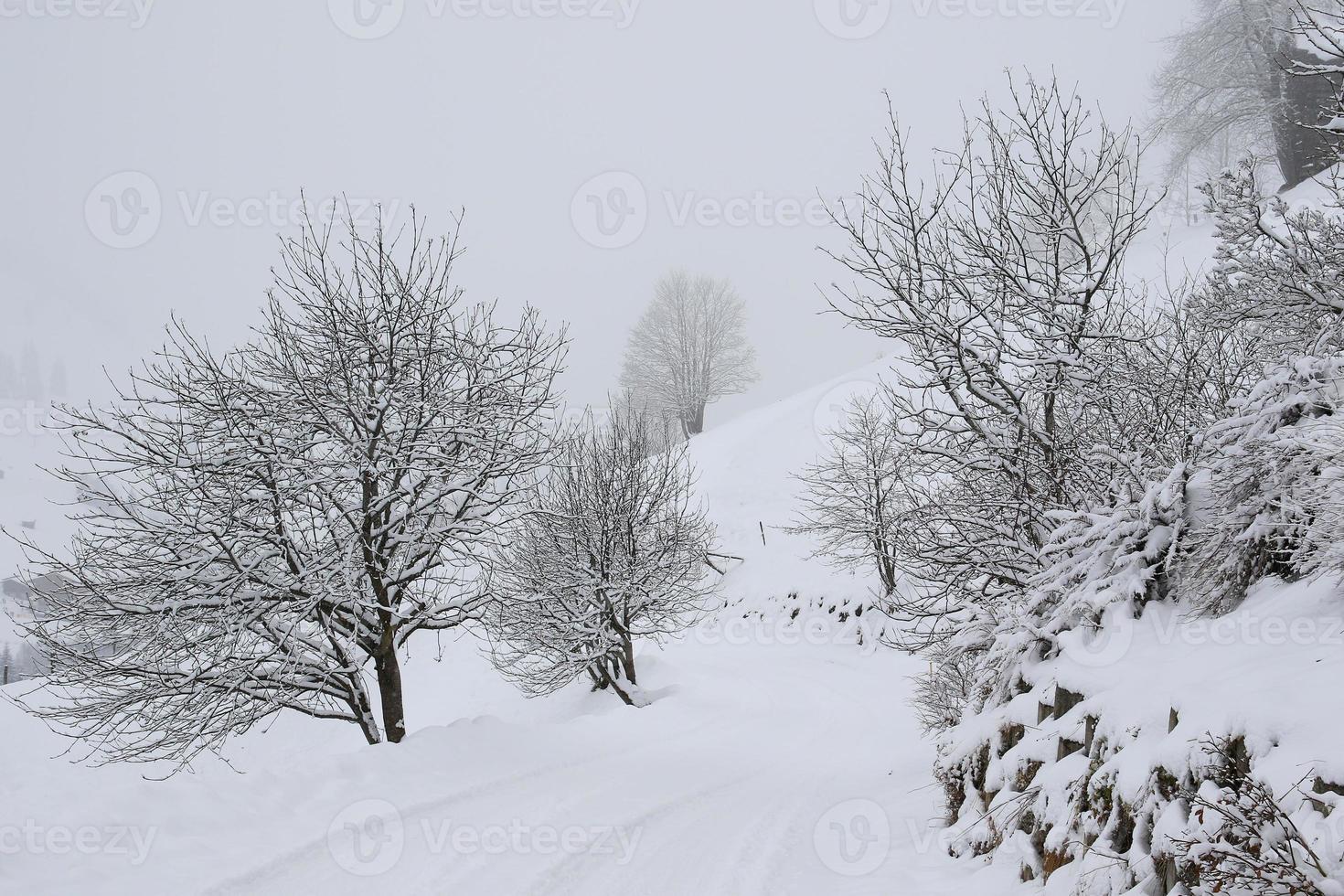 Winterlandschaft in den österreichischen Alpen foto