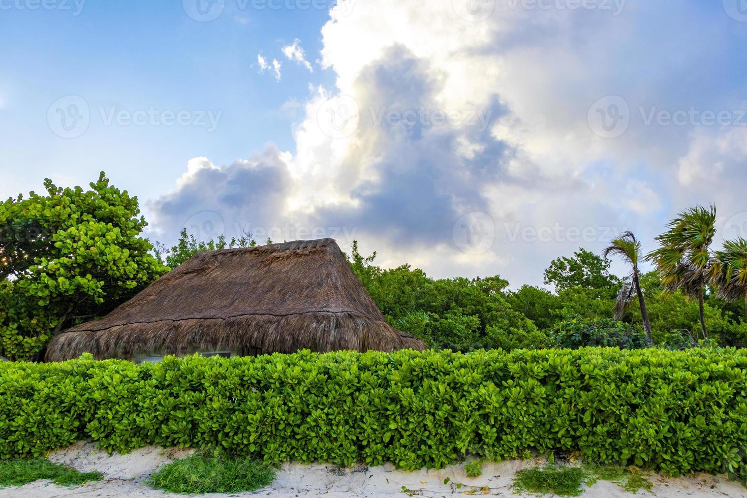 Palapa Roof Resort am tropischen Strand Playa del Carmen Mexiko. foto