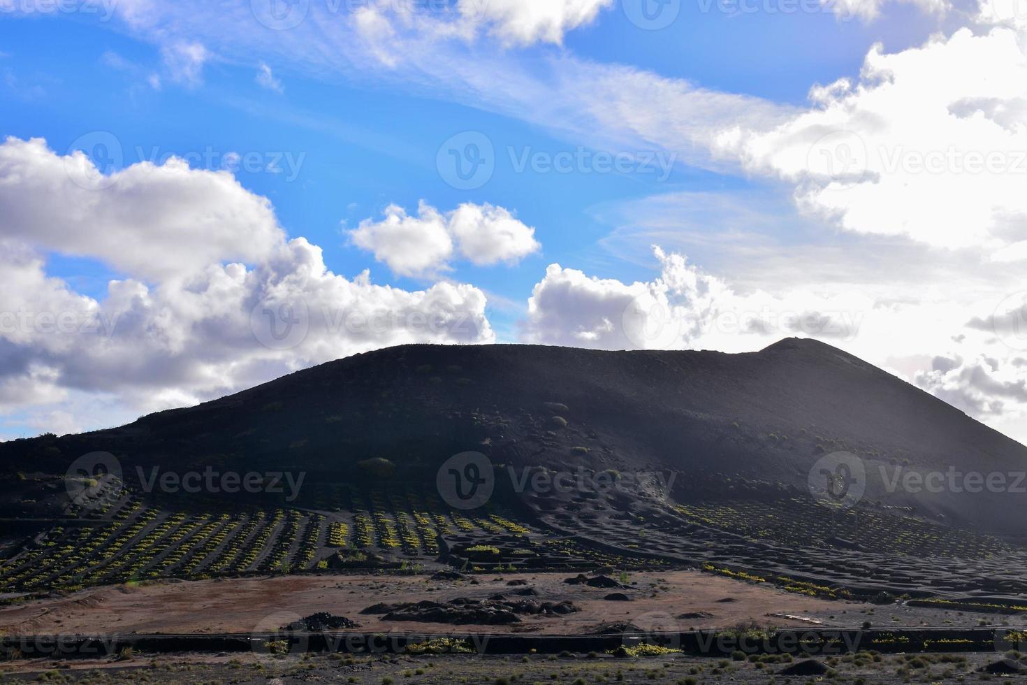 Landschaft im Sommer foto