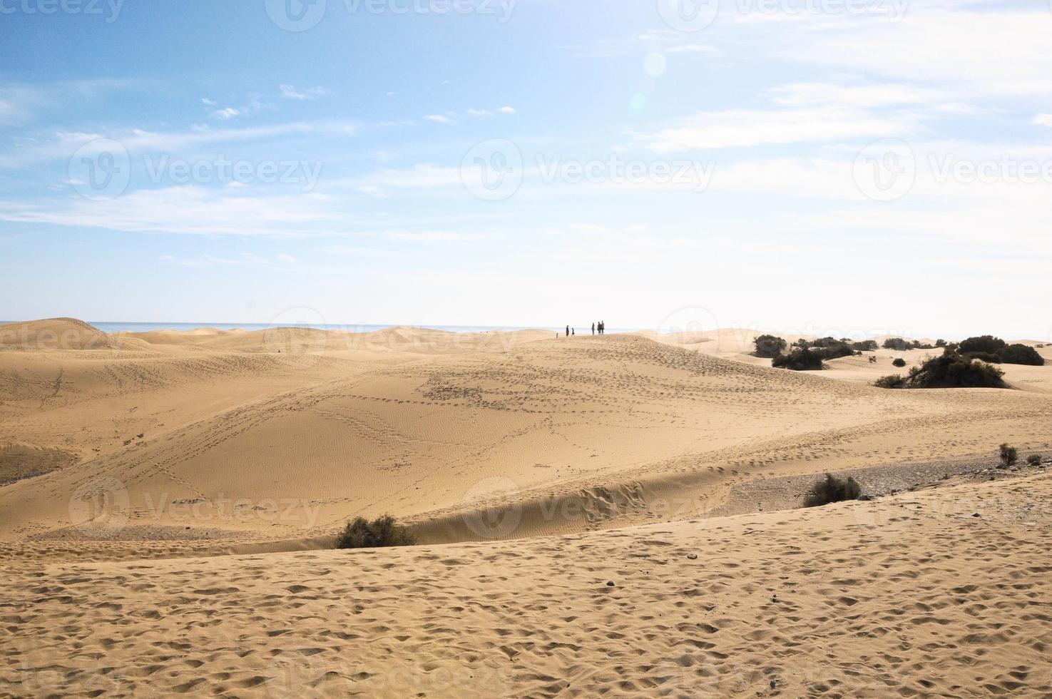 Wüstenlandschaft im Sommer foto