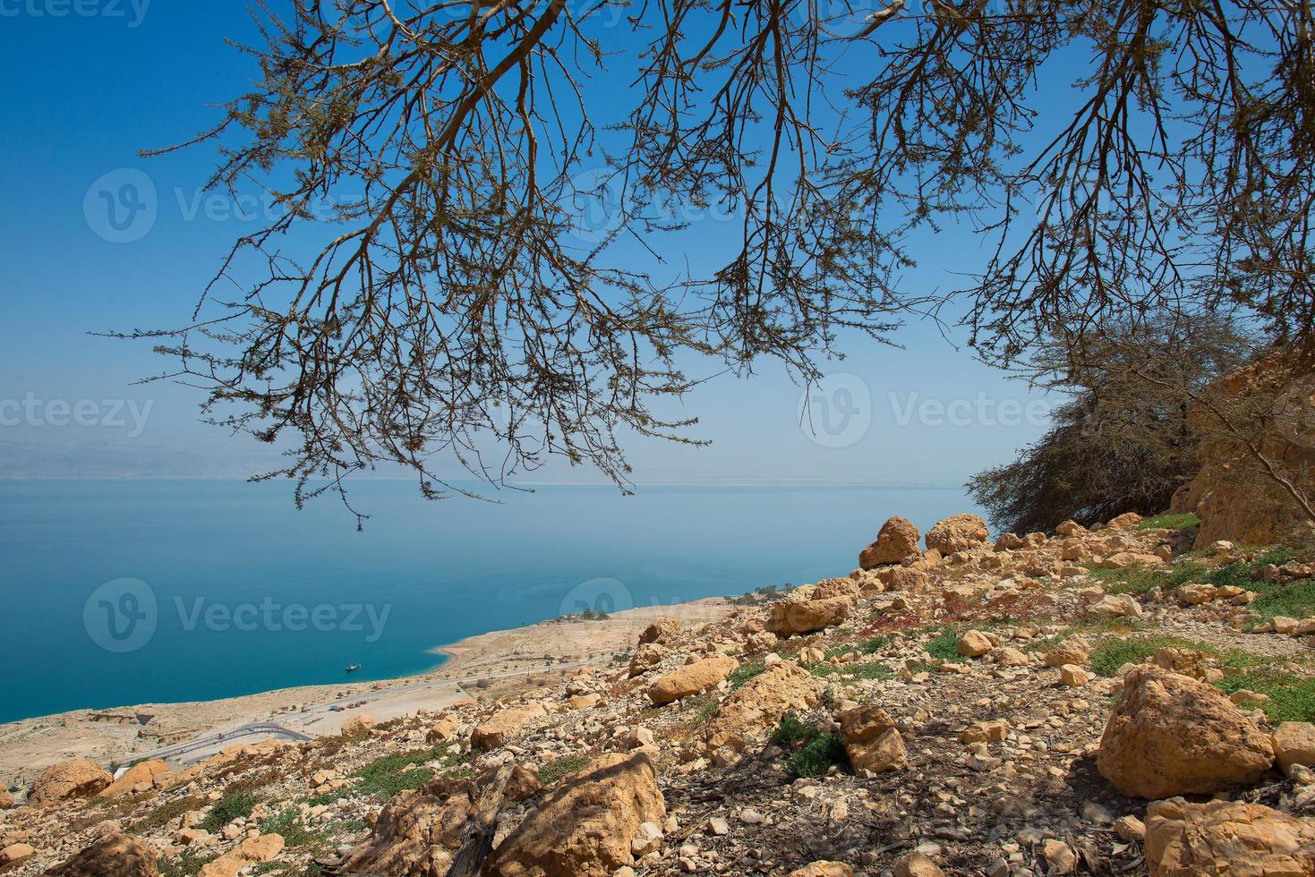 in der nähe von en gedi wüstenoase am westlichen ufer des toten meeres in israel foto