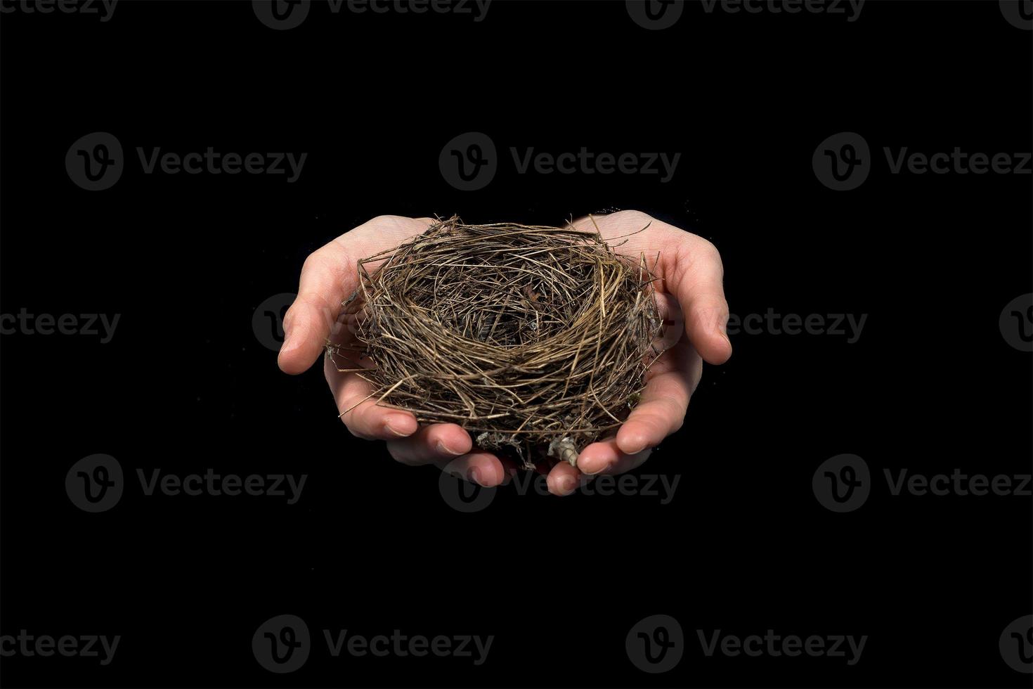 Zwei Hände halten ein Nest auf schwarzem Hintergrund foto