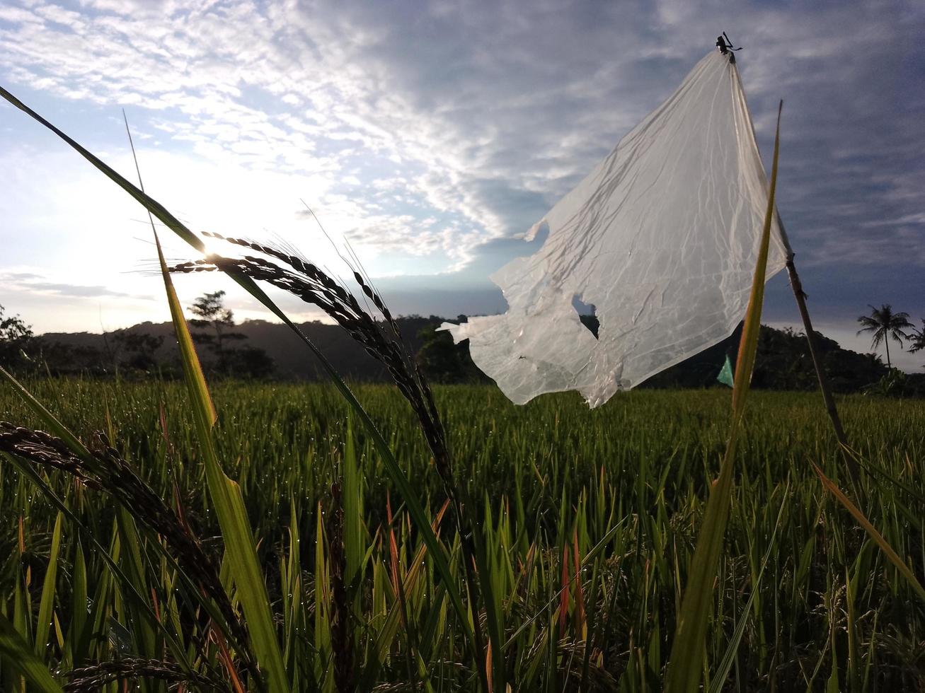 das schöne Panorama in Natur foto