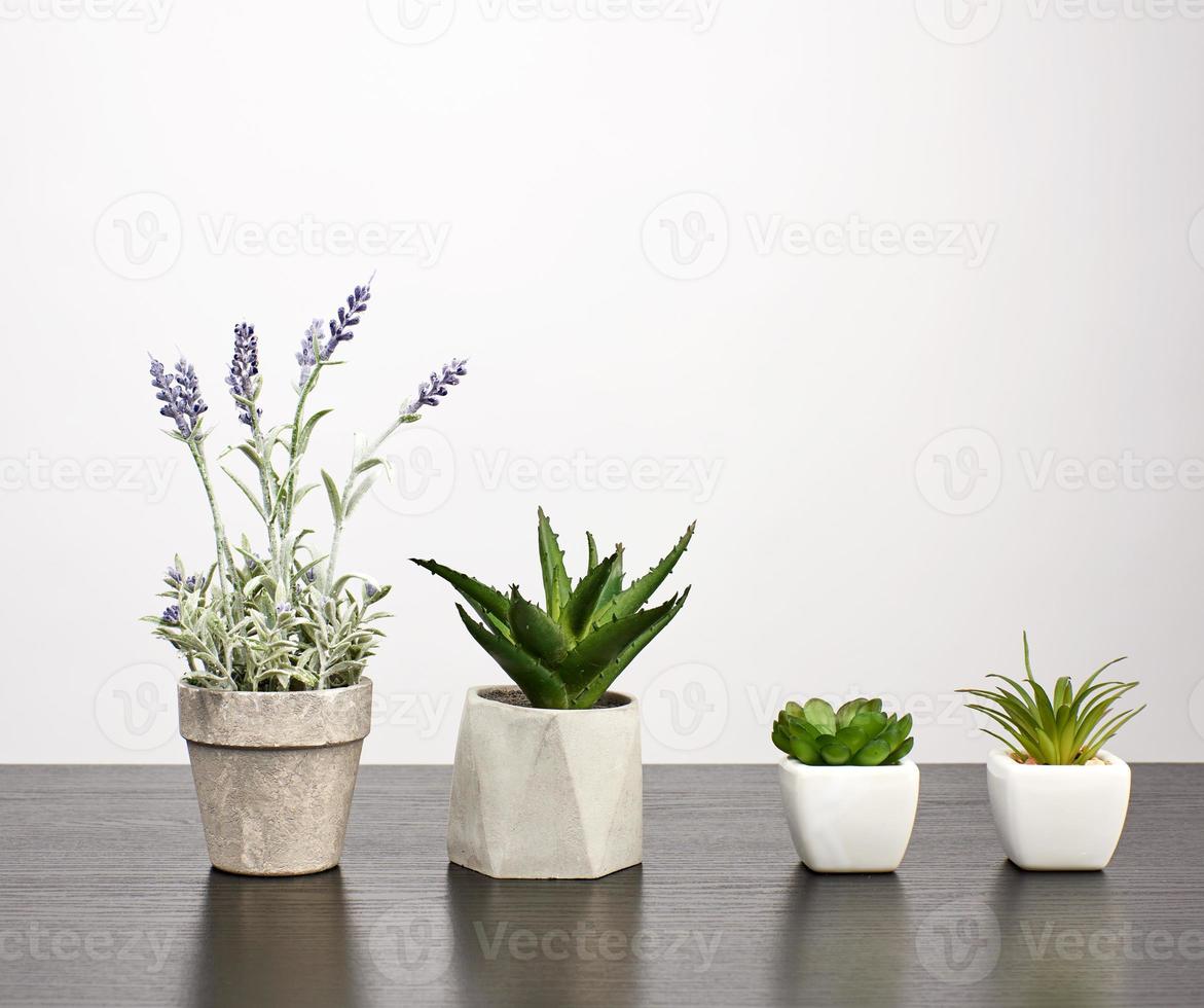 Keramiktöpfe mit Pflanzen auf einem schwarzen Tisch, weißer Hintergrund foto