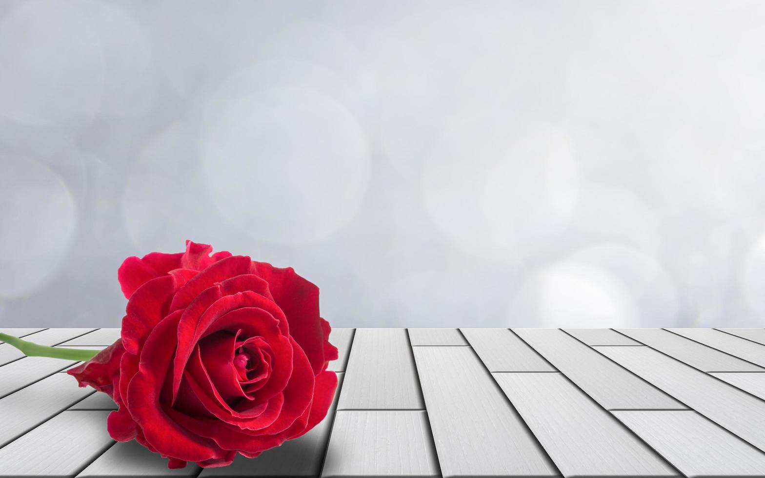 Rose auf Holzboden gelegt foto