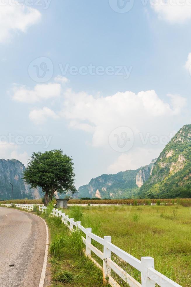 Landschaft aus Bergen und einem Baum foto