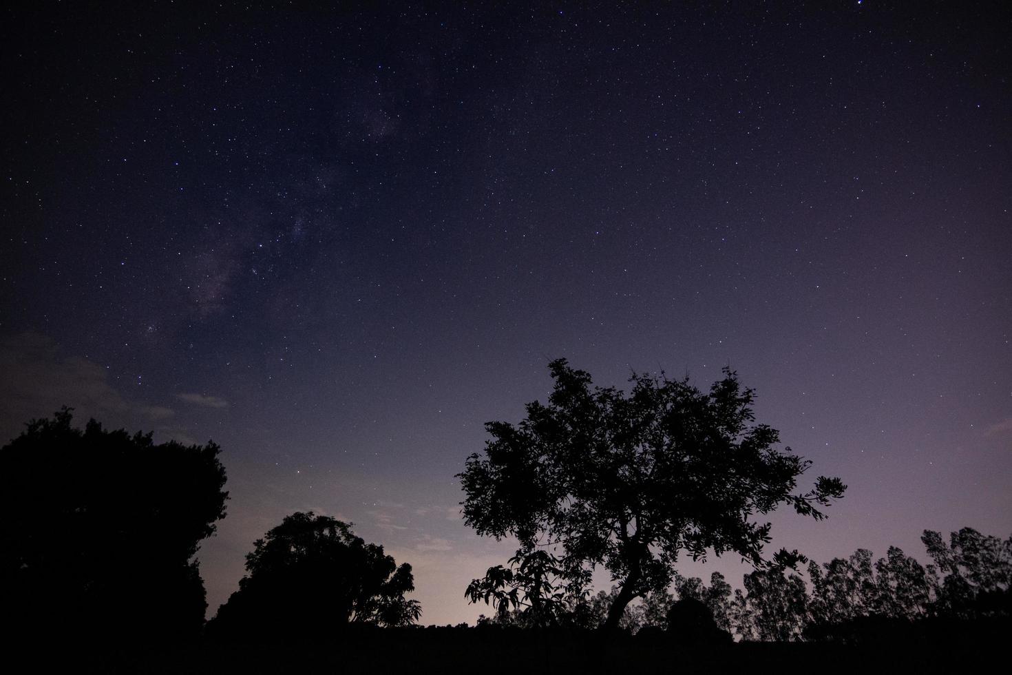 Silhouette eines Baumes in der Nacht foto