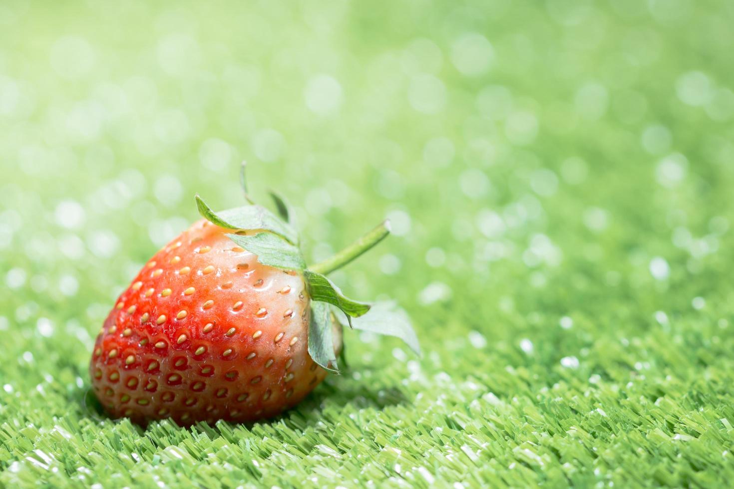 Erdbeere auf grünem Hintergrund foto