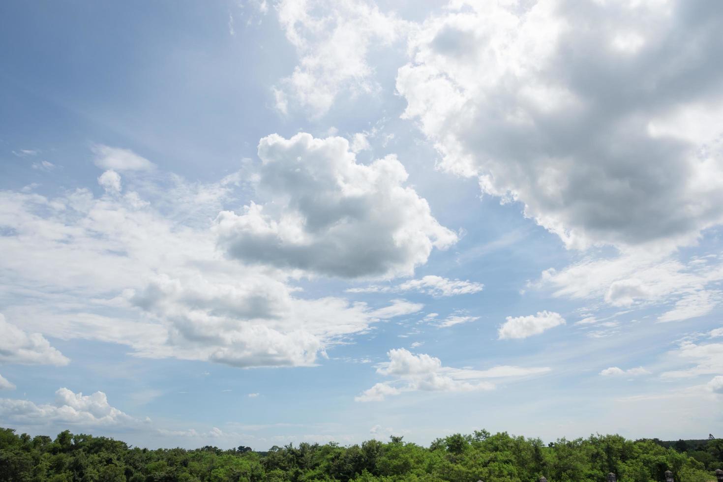 Himmel und Wolken über dem Wald foto