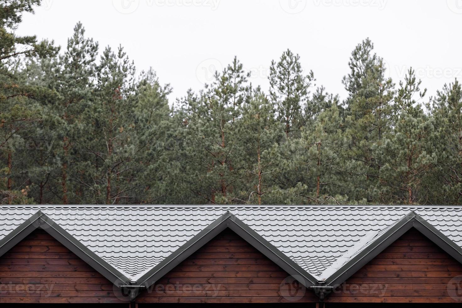 Reihe von Dächern mit grünen Metallziegeln aus Holzhäusern am Wald. zwei haus zu vermieten in der natur. Öko-Stil. Seitenansicht foto