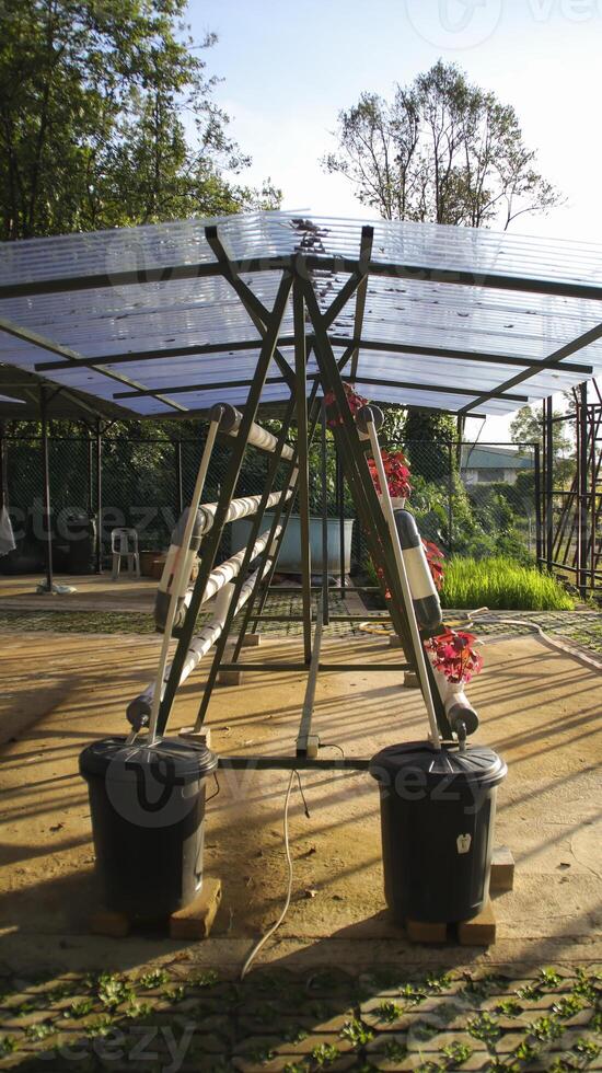 frische rote Spinat-Gemüsepflanze durch Hydroponik-Methode. Nährfilm-Transfer-Hydrokultur-Setup-System-Idee. moderner Gemüseanbau. foto