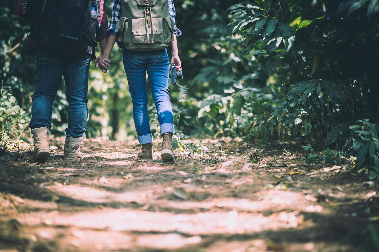 junge aktive Reisende, die Hände halten, während sie im Wald gehen foto